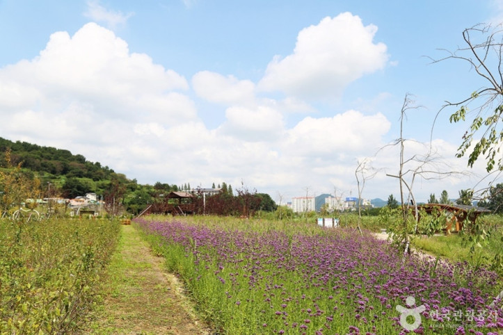 수남유수지생태공원_2_공공3유형.JPG