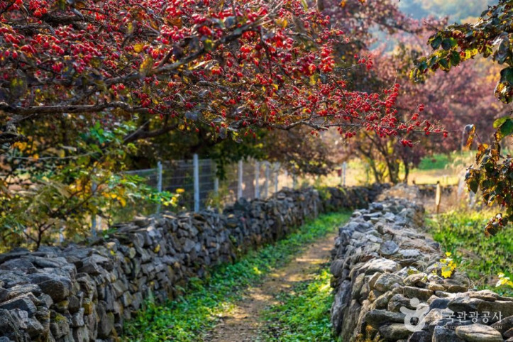 이천_산수유마을_1_공공1유형.jpg