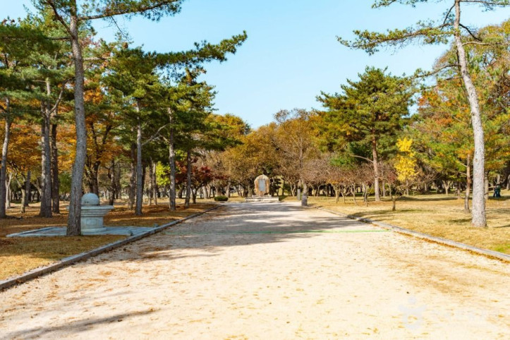 경주 오릉 여행 추천 - 메고지고