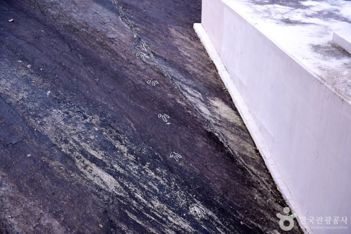 화순_서유리_공룡발자국화석_산지_9_공공3유형.jpg