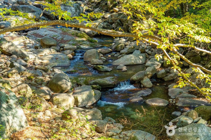 화엄사계곡_2_공공1유형.jpg