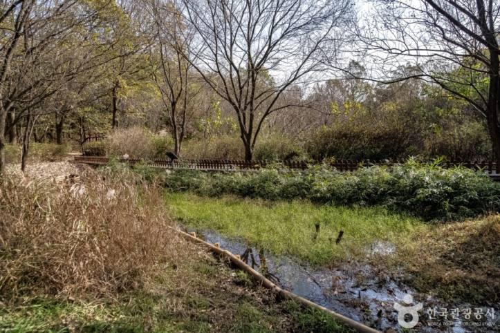 판교공원_3_공공3유형.jpg