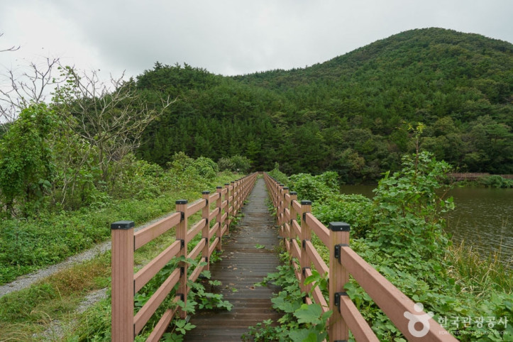 솔향기길_4코스_3_공공3유형.jpg
