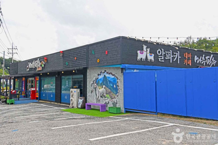 알파카_체험카페_마추픽추_7_공공3유형.JPG