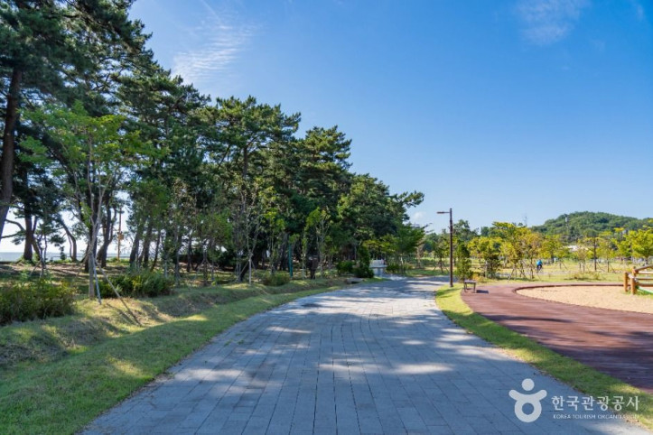 궁평관광지_2_공공1유형.jpg