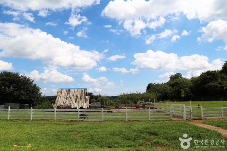해뜰목장_2_공공3유형.JPG