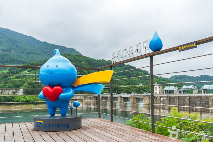 충주댐_벚꽃길_7_공공3유형.jpg