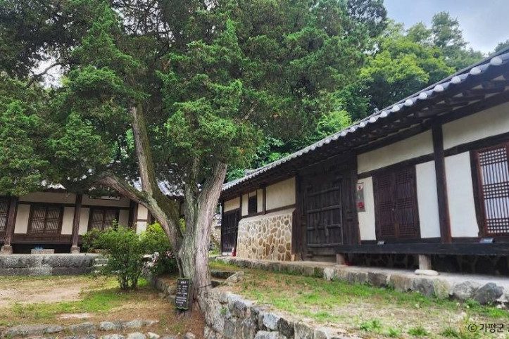 이천보고가 여행 추천 - 메고지고