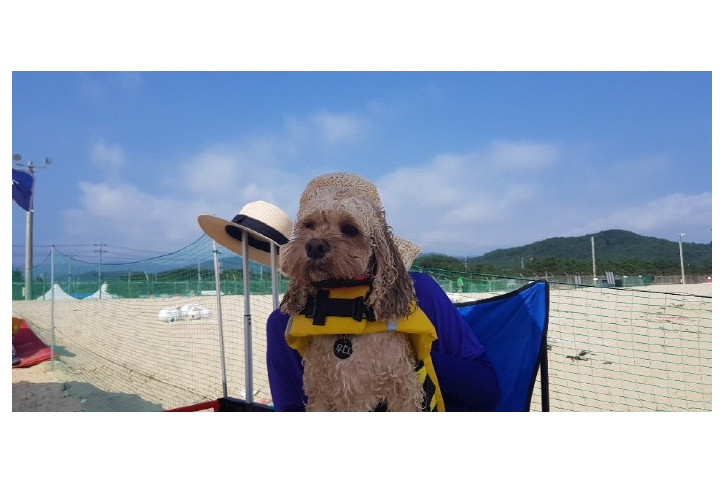 애견전용해수욕장_멍비치_5_공공3유형.jpg