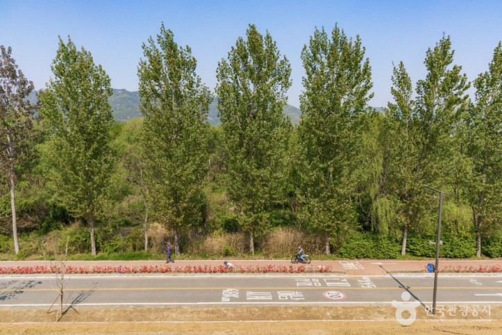 광나루한강공원_암사생태공원_4_공공1유형.jpg