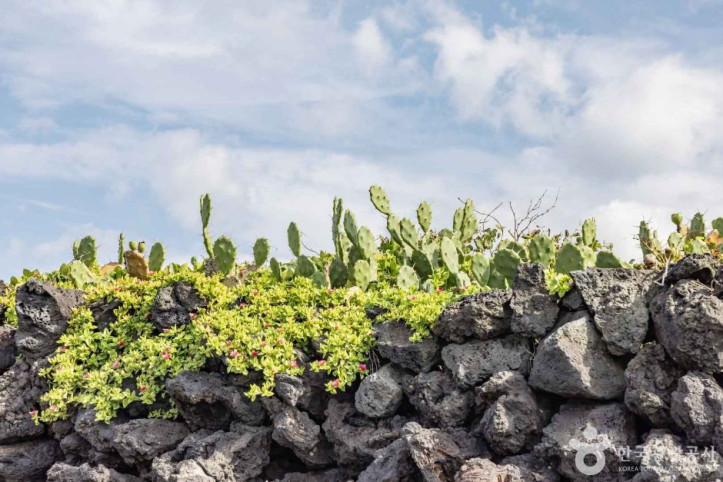 제주선인장마을_5_공공3유형.jpg