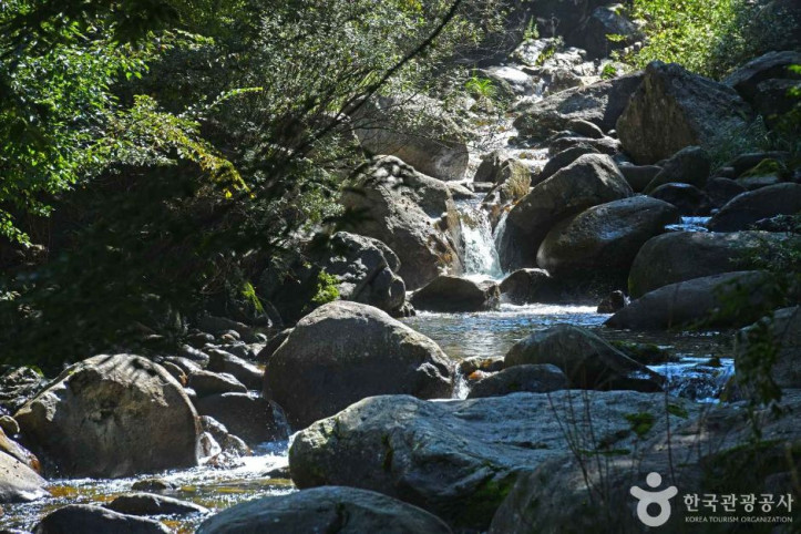 새밭계곡_4_공공3유형.JPG