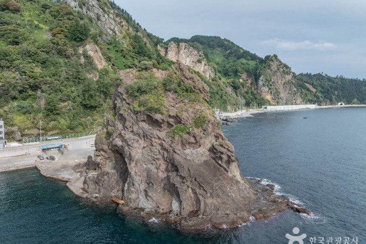 거북바위_및_향나무_자생지_(울릉도,_독도_국가지질공원)_5_공공1유형.jpg