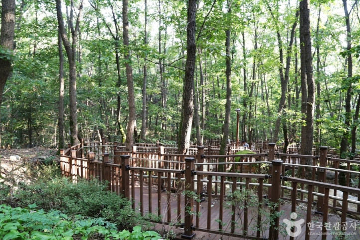 삼성산산림욕장_3_공공3유형.JPG