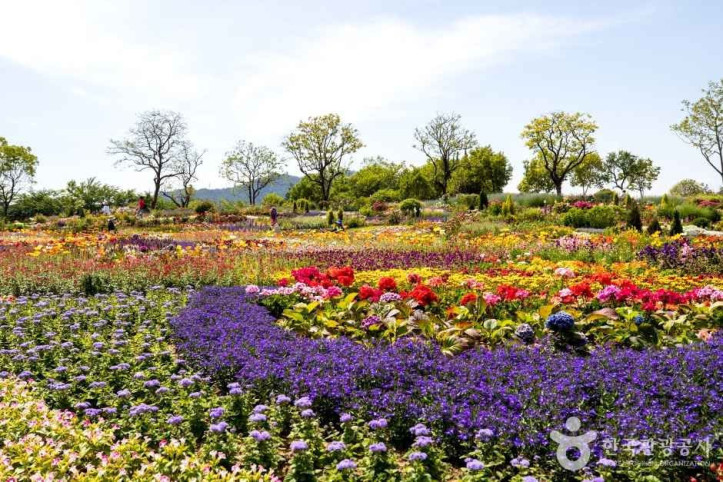 순천만국가정원_8_공공1유형.jpg