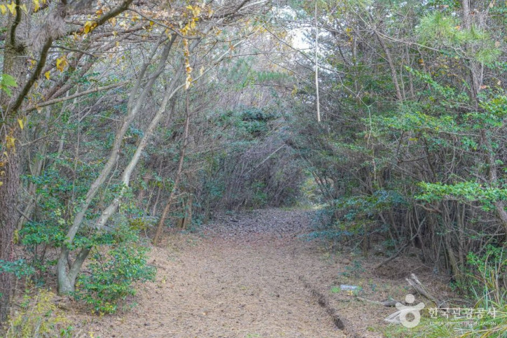 미악산 여행 추천 - 메고지고