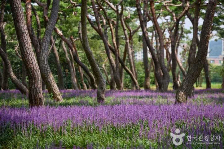 황성공원 여행 추천 - 메고지고