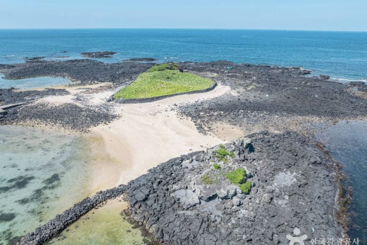 제주_토끼섬_문주란_자생지_1_공공1유형.jpg