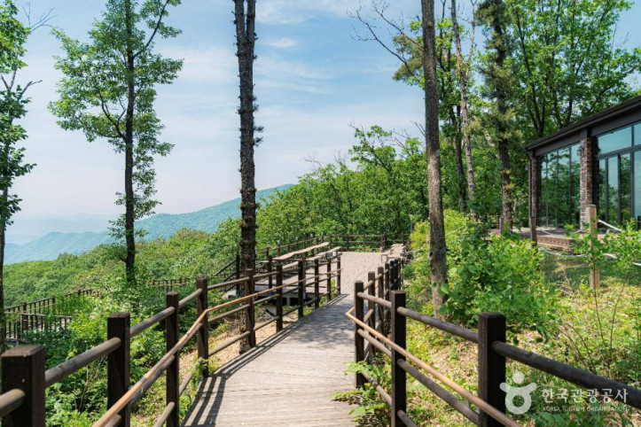 설매재자연휴양림_2_공공1유형.jpg