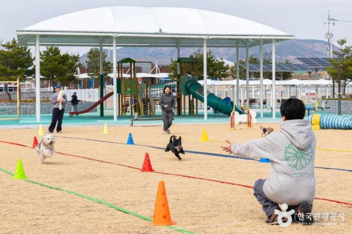 의성_펫월드_9_공공1유형.jpg