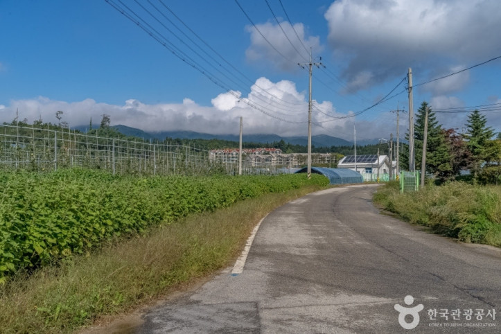 진부령_흘리마을_1_공공3유형.jpg