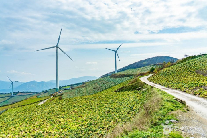 매봉산풍력발전단지(바람의_언덕)_2_공공1유형.jpg