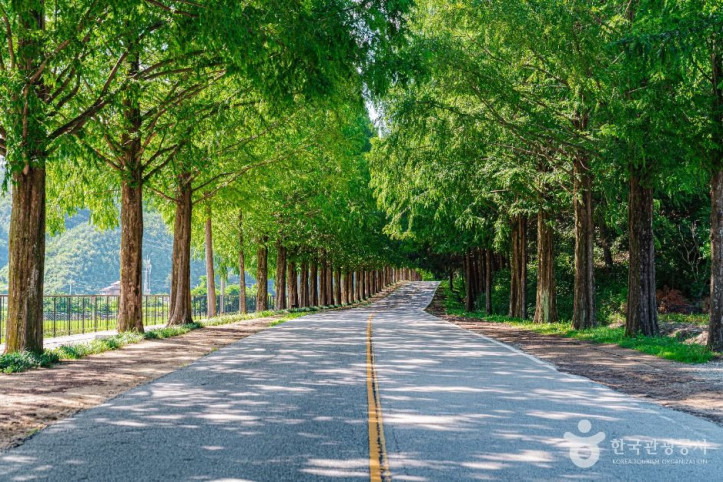 부귀_메타세쿼이아길_5_공공1유형.jpg