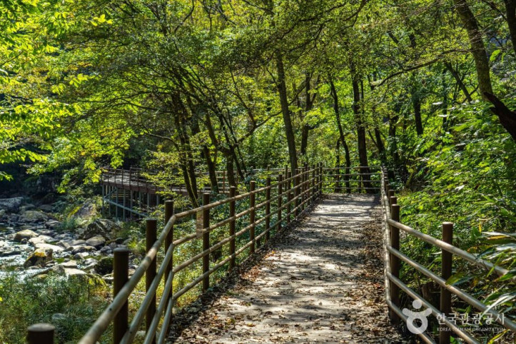 덕산계곡(덕산용소)_3_공공1유형.jpg