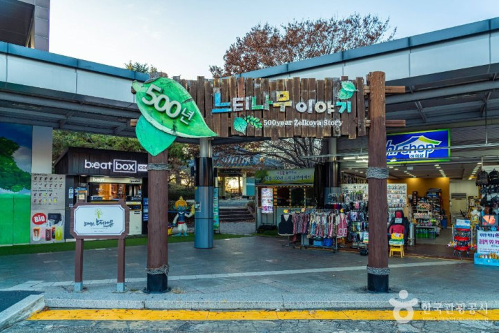 현풍_500년_느티나무_테마공원_2_공공1유형.jpg