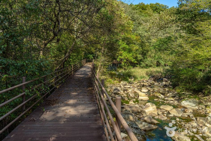 덕산계곡(덕산용소)_2_공공1유형.jpg