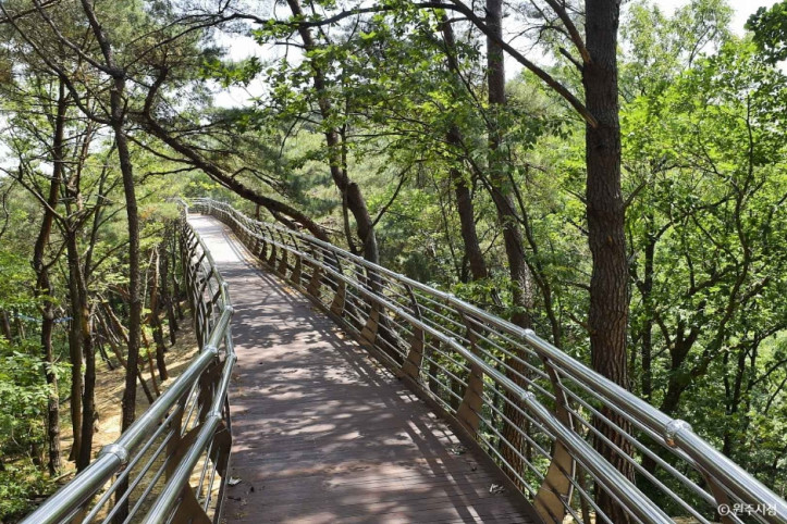 소금산_스카이워크_브릿지_3_공공3유형.jpg