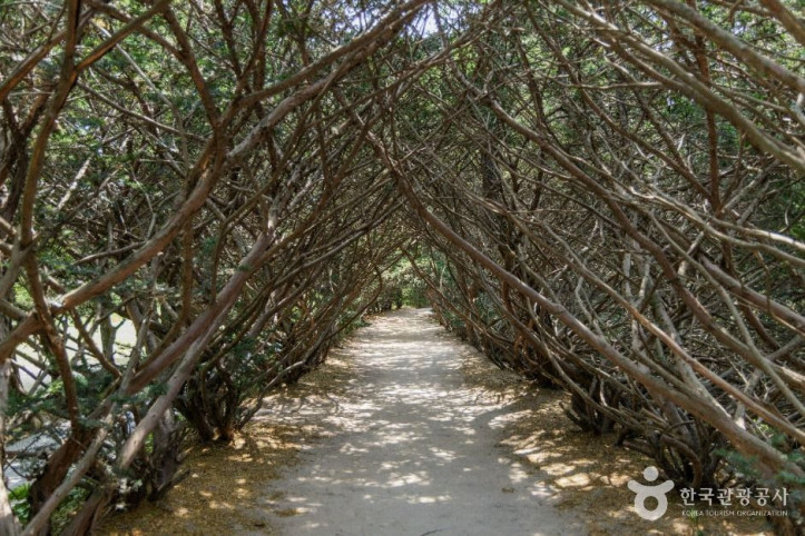 벽초지수목원_5_공공1유형.jpg