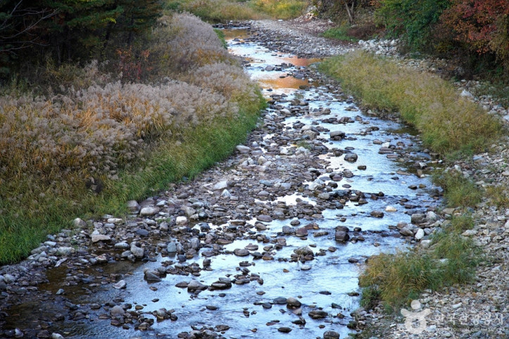 서봉사계곡_마을관리휴양지_9_공공3유형.jpg