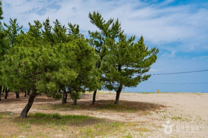 송전해수욕장_1_공공1유형.jpg