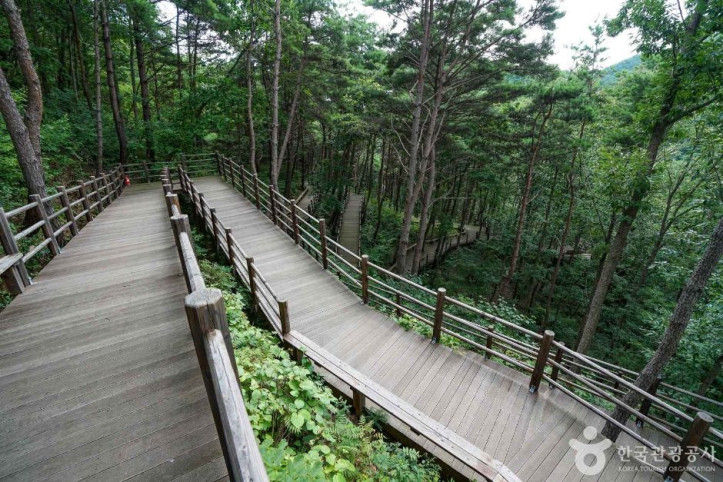 치유의숲_무장애길_2_공공3유형.JPG