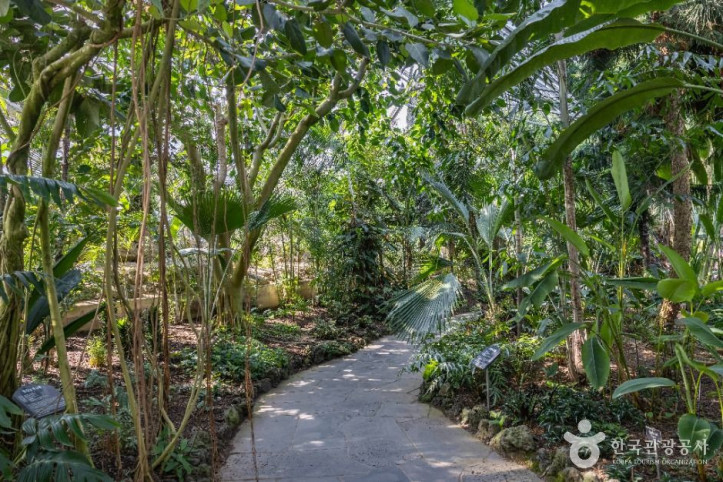 여미지식물원_3_공공1유형.jpg