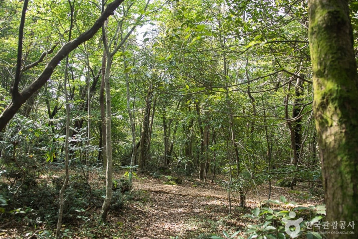 서귀포자연휴양림_1_공공3유형.jpg