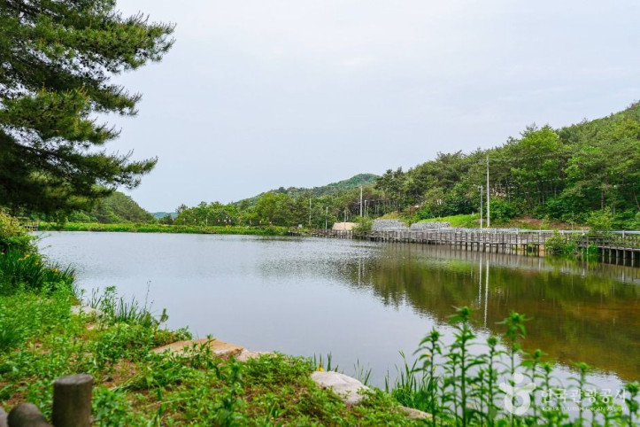 북구_편백산림욕장_1_공공1유형.jpg