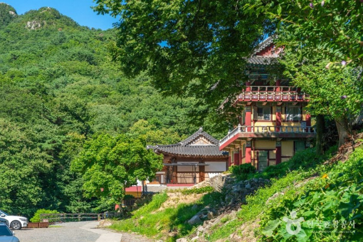 선본사(경산) 여행 추천 - 메고지고