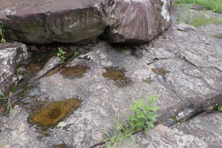 천전리공룡발자국화석_10_공공3유형.JPG
