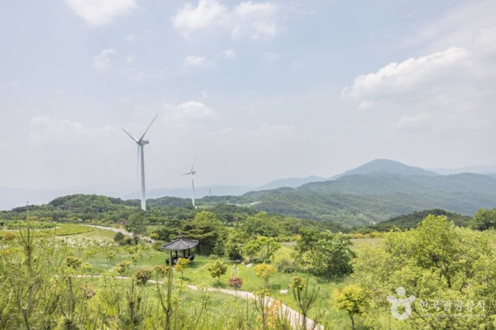 경주_풍력발전(바람의언덕)_7_공공1유형.jpg