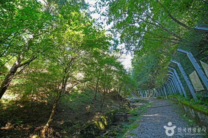 낭천산림욕장_2_공공3유형.JPG
