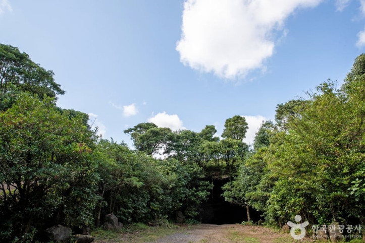 성읍녹차동굴_8_공공1유형.jpg