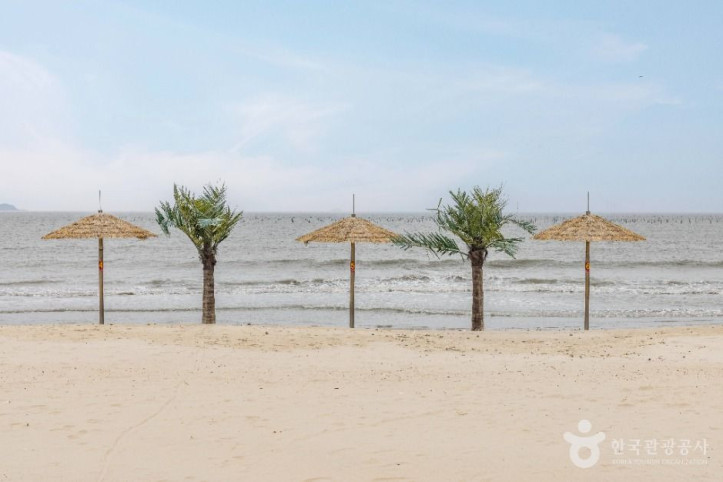 짱뚱어해수욕장_2_공공1유형.jpg