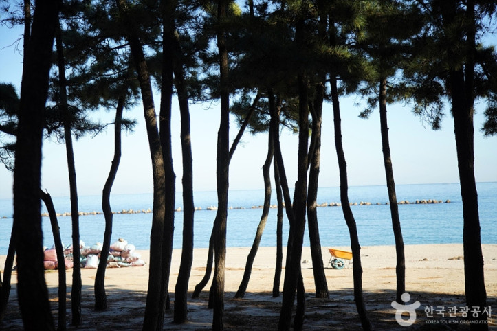 원평해수욕장_2_공공3유형.jpg