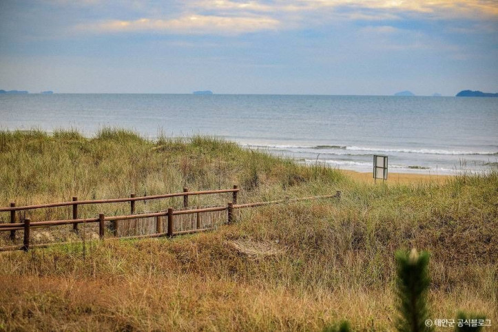 [태안_해변길_5코스]_노을길_9_공공3유형.jpg