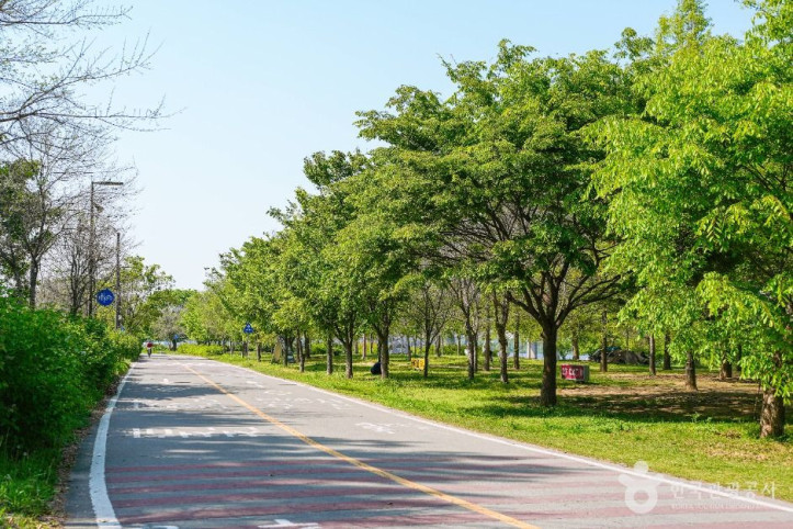 여의도한강공원 여행 추천 - 메고지고