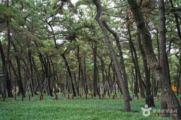 송도솔밭도시숲_4_공공1유형.jpg