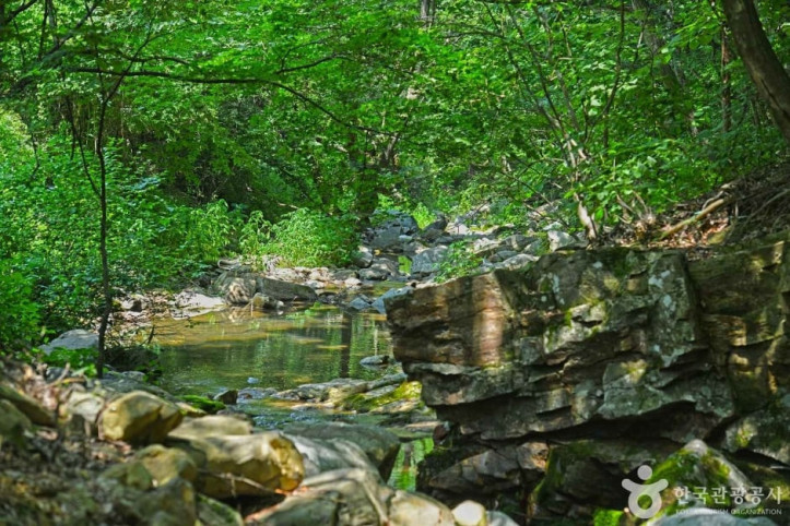 연곡계곡_1_공공3유형.JPG