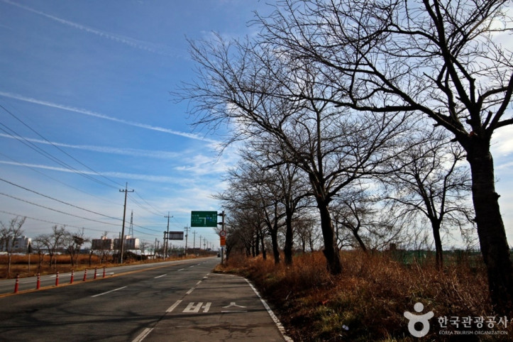 전군가도100리벚꽃길_2_공공3유형.JPG